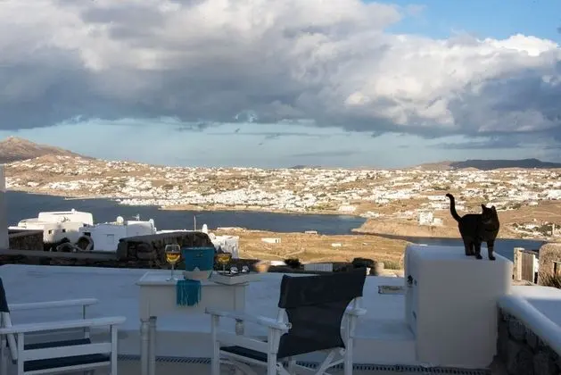 Elegant villa with ocean views & 2 pools - Oda Manzaraları