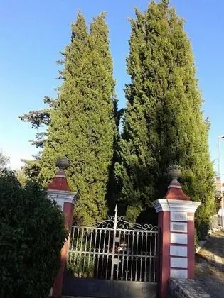 Villa Elena B&B di Charme - Dış Mekan
