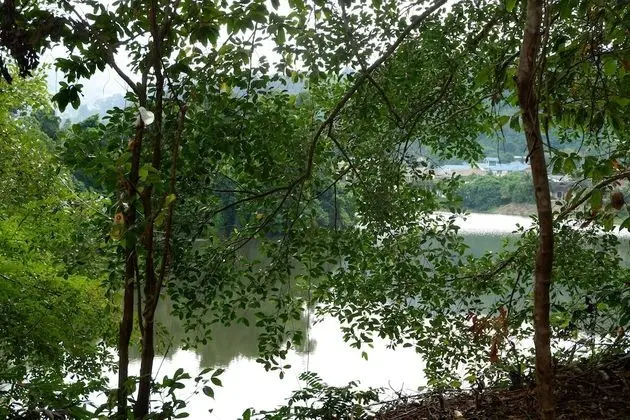 Elephant Jungle Sanctuary - Oda Manzaraları