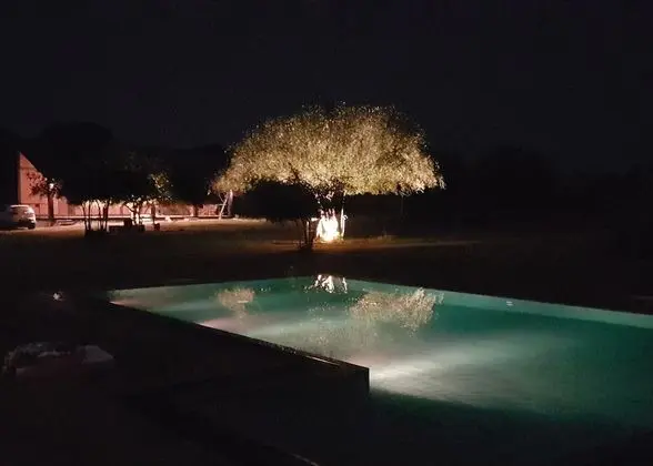 The Elephant Pass Yala