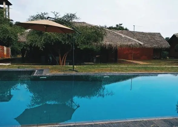 The Elephant Pass Yala