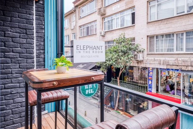 Elephant In The RoomFotoğrafı