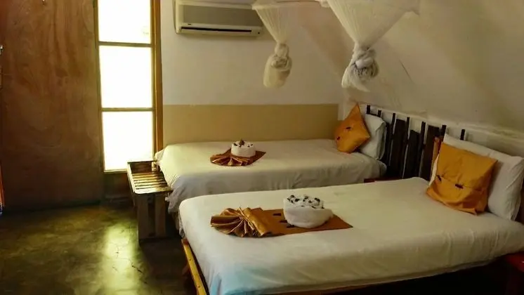 Elephant Trail Guesthouse and Backpackers - Oda