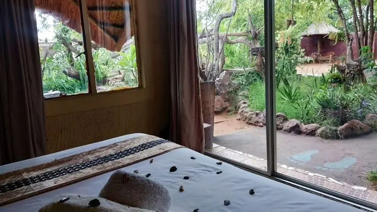 Elephant Trail Guesthouse and Backpackers - Oda Manzaraları