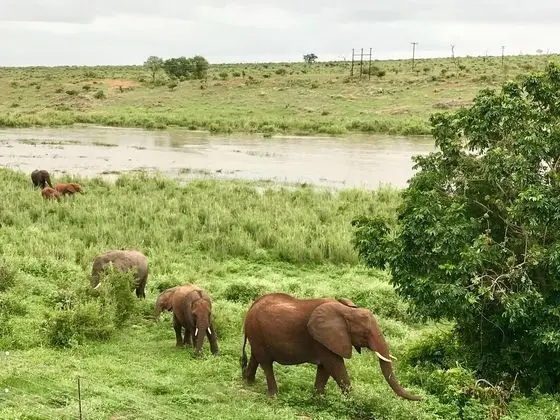 ELEPHANT WALK RETREAT