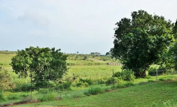 Elephant Walk Retreat - Dış Mekan