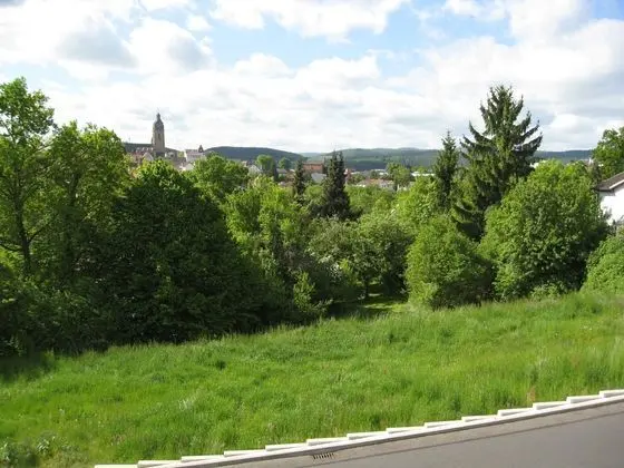 Elevated Apartment in Bad Wildungen With Garden - Genel