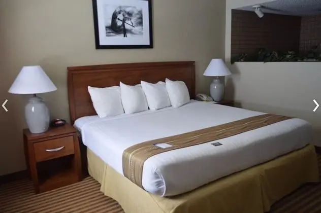 Eleven Boutique Hotel - Oda