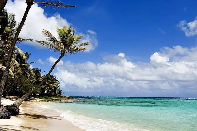 Elewana Afrochic Diani Beach - Plaj