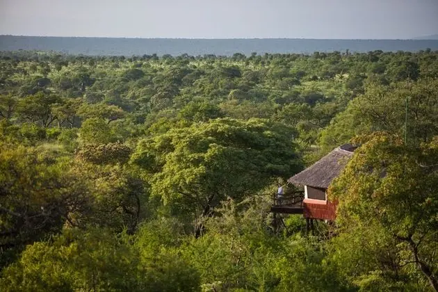 Elewana Tarangire Treetops