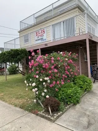 ELIS APARTMENT - Öne Çıkan Resim