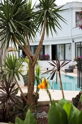 Elista Hotel & Spa - Havuz