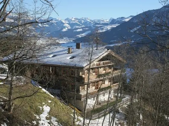 Elite Chalet near Ski Slopes in Westendorf
