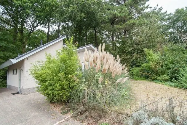 Elite Holiday Home in North Holland near Forest - Dış Mekan