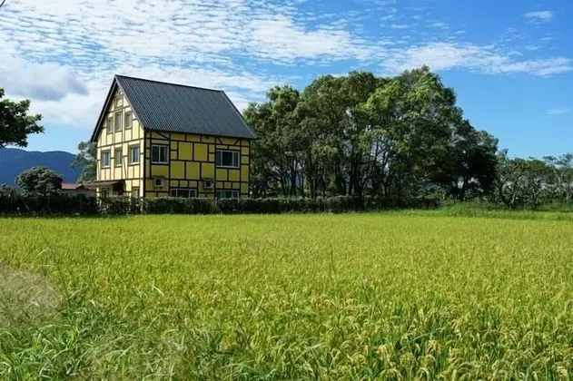 Elizabeth Bed And Breakfast