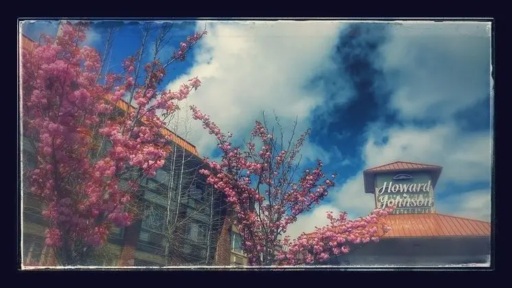 Elk Lake Inn Suites Victoria - Dış Mekan