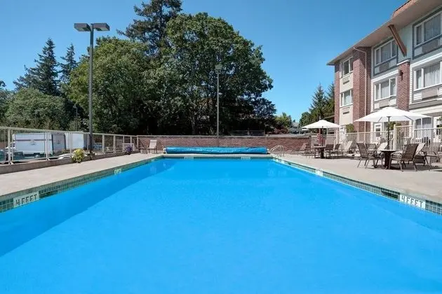 Elk Lake Inn Suites Victoria - Havuz