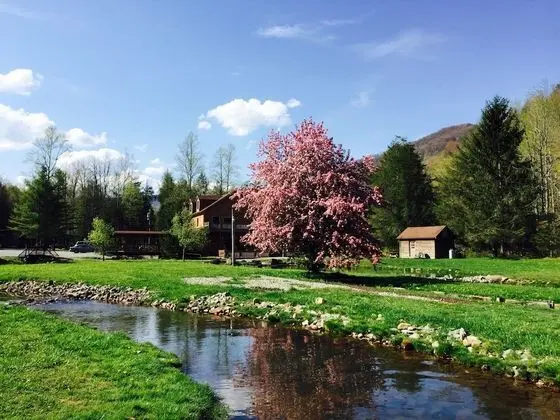 Elk Springs Resort - Dış Mekan