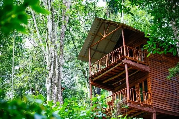 Ella Eco Lodge
