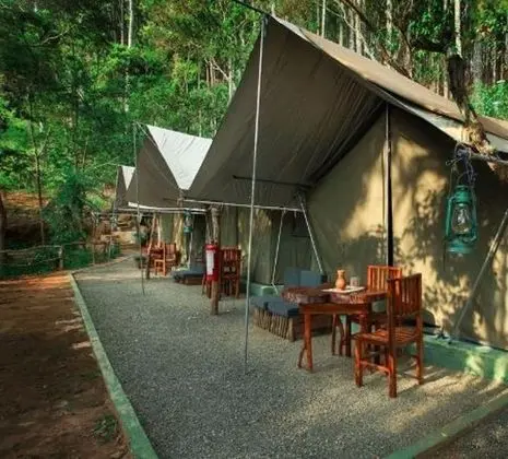 Ella Glamping