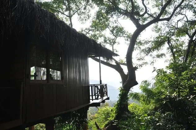 Ella Jungle Inn