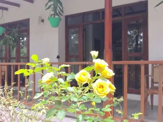 ELLA NATURE NEST