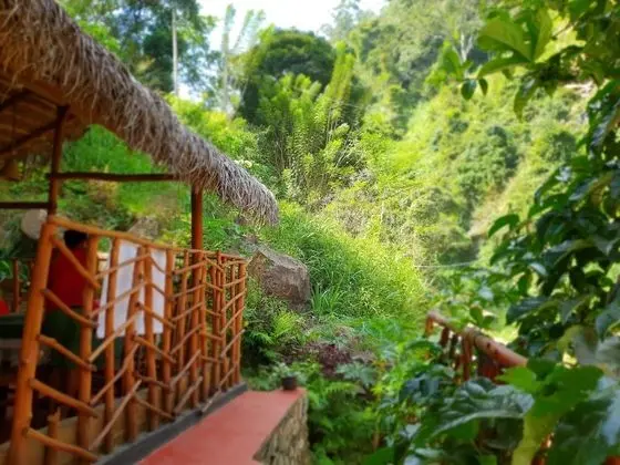 Ella River House