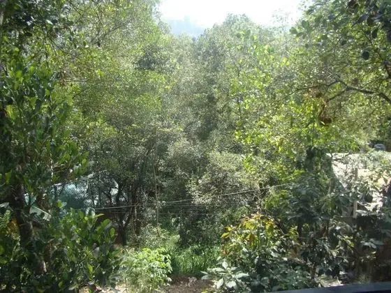 Ella Udessa