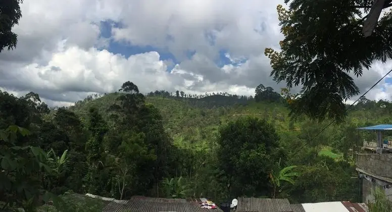 Ella vilage astoria