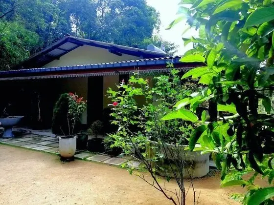 Ella Wisdom Home