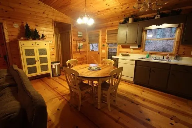 Ellijay Lake Lodge - Mutfak
