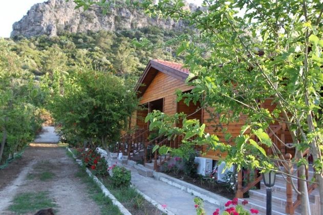 Elly's HomeFotoğrafı