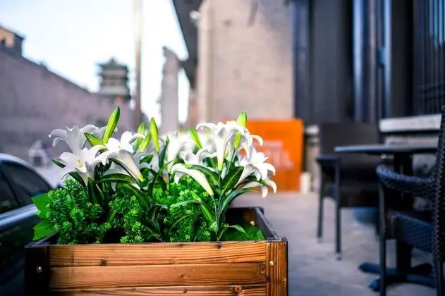 Elsewhere Boutique Hotel - Lobi