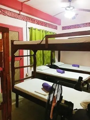 Elternative Hostel