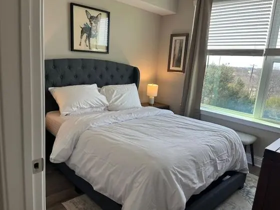 The Elvis Presley Urban Luxury Apts Austin - Oda