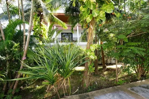 Elysia Boutique Resort - Dış Mekan