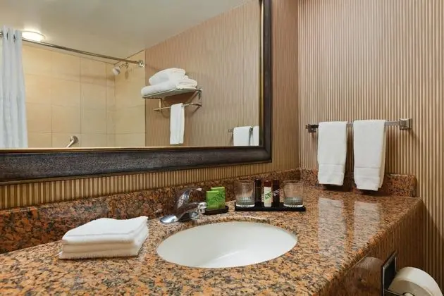 Embassy Suites Anaheim - South - Oda