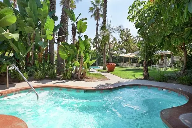 Embassy Suites Brea - North Orange County - Havuz