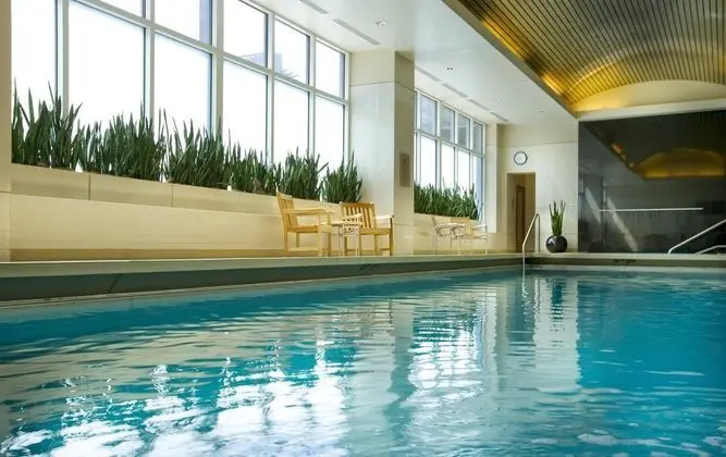 Embassy Suites Chicago Magnificent Mile - Havuz