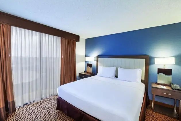 Embassy Suites Dallas Market Center - Oda