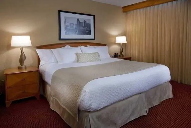Embassy Suites Kansas City International Airport - Oda