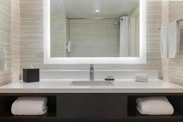 Embassy Suites - Laredo TX - Banyo Özellikleri