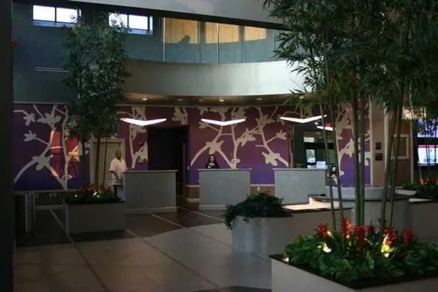 Embassy Suites Raleigh Durham Airport Brier - Genel