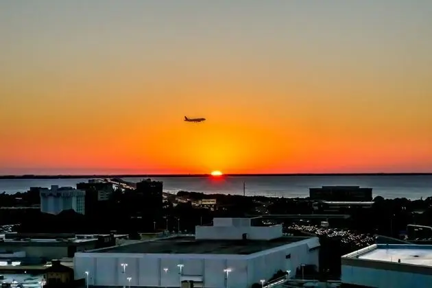 Embassy Suites Tampa - Airport - Westshore - Dış Mekan