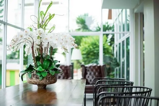 Embryo Hotel - Dış Mekan