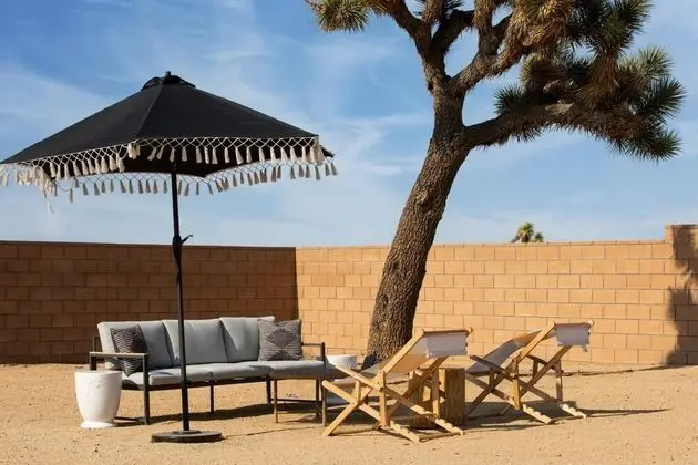 Emerson Ave - Flora in Yucca Valley
