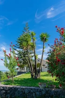 Villa Emily - Lobi