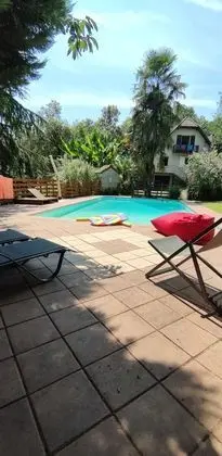 En plein coeur de la forêt