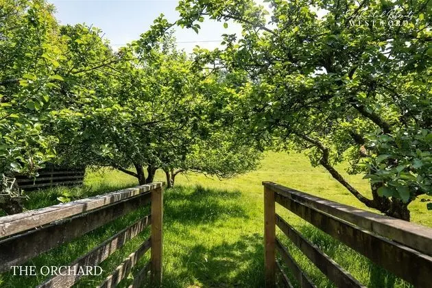 Enchanted Retreats at West Ford Devon