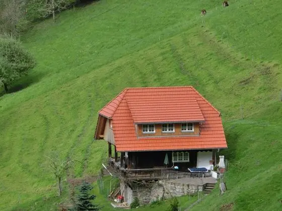 Enchanting Holiday Home in Mühlenbach With Fenced Garden - Dış Mekan